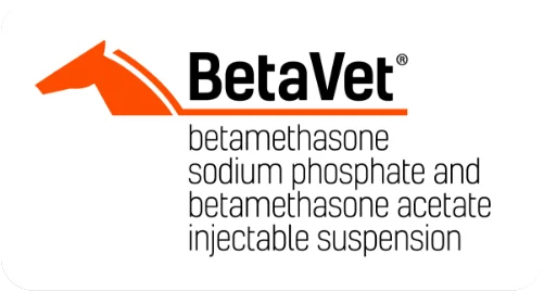 BetaVet logo